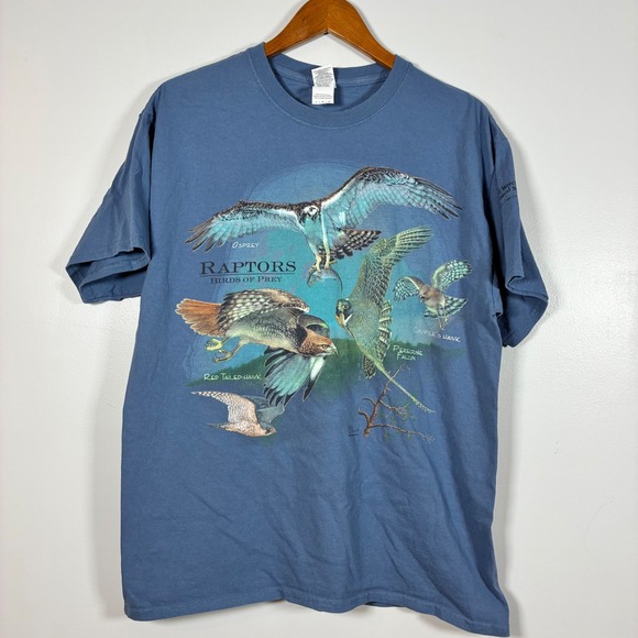Gildan Other - Raptors Birds of Prey Cape Cod Graphic Tee L Gorpcore Ornithology Birdcore